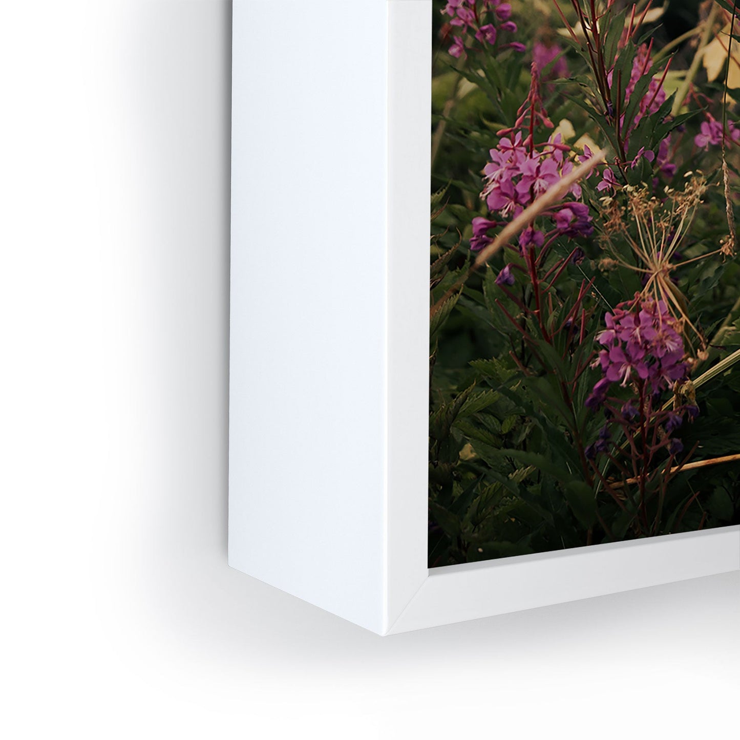 Hannah Kemp Fireweed Season Framed Mini Art Print