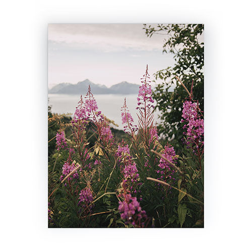 Hannah Kemp Fireweed Season Mini Art Print