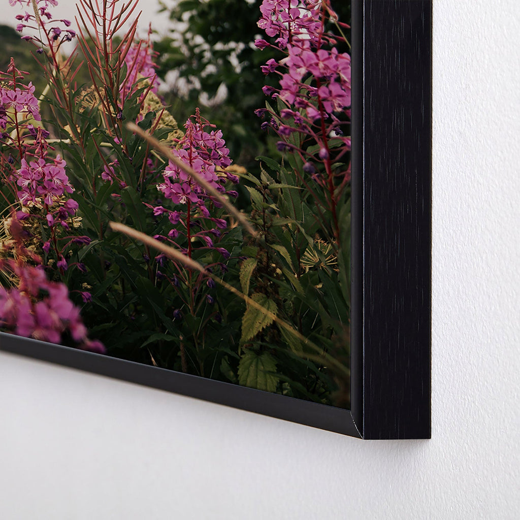 Hannah Kemp Fireweed Season Square Metal Framed Art Print
