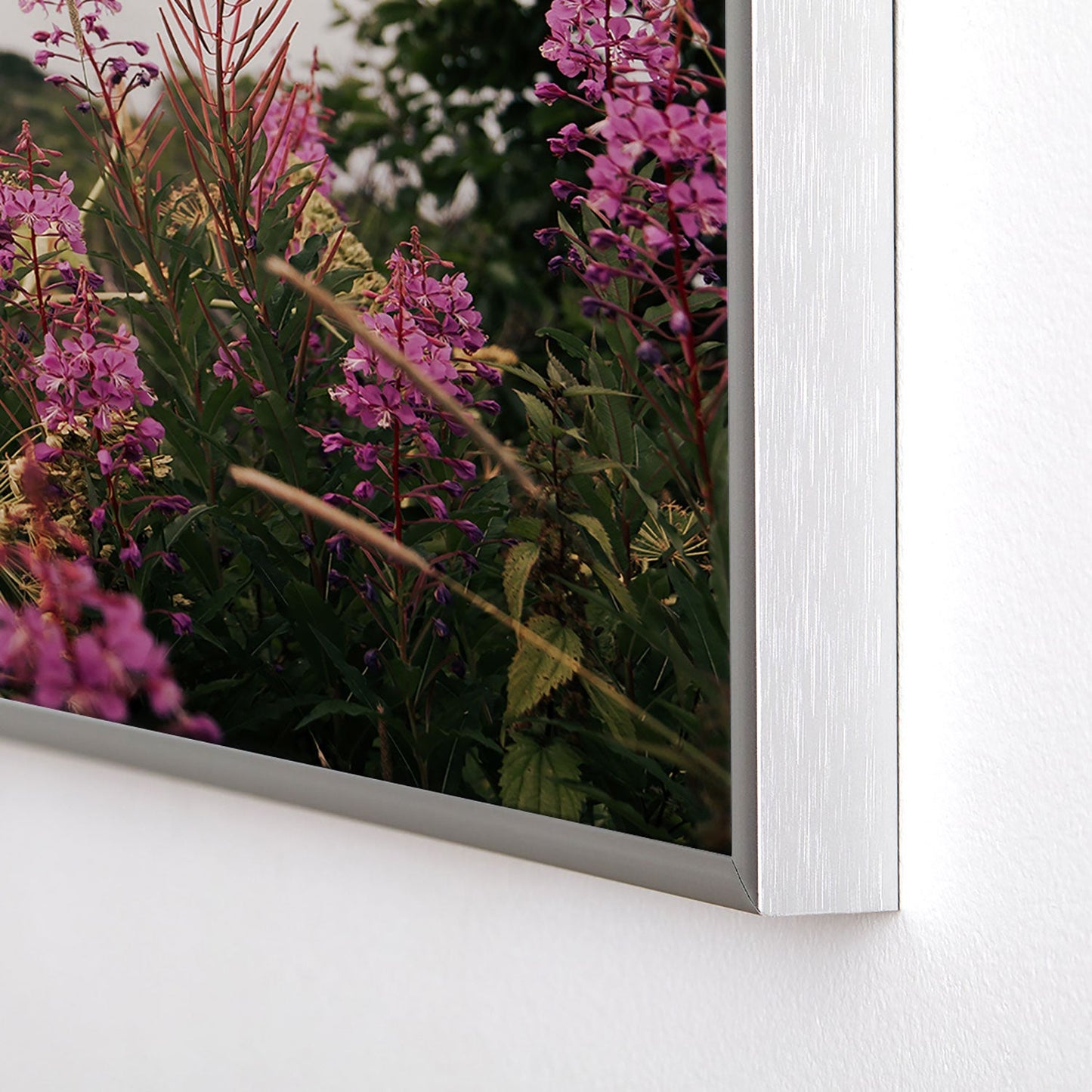 Hannah Kemp Fireweed Season Square Metal Framed Art Print