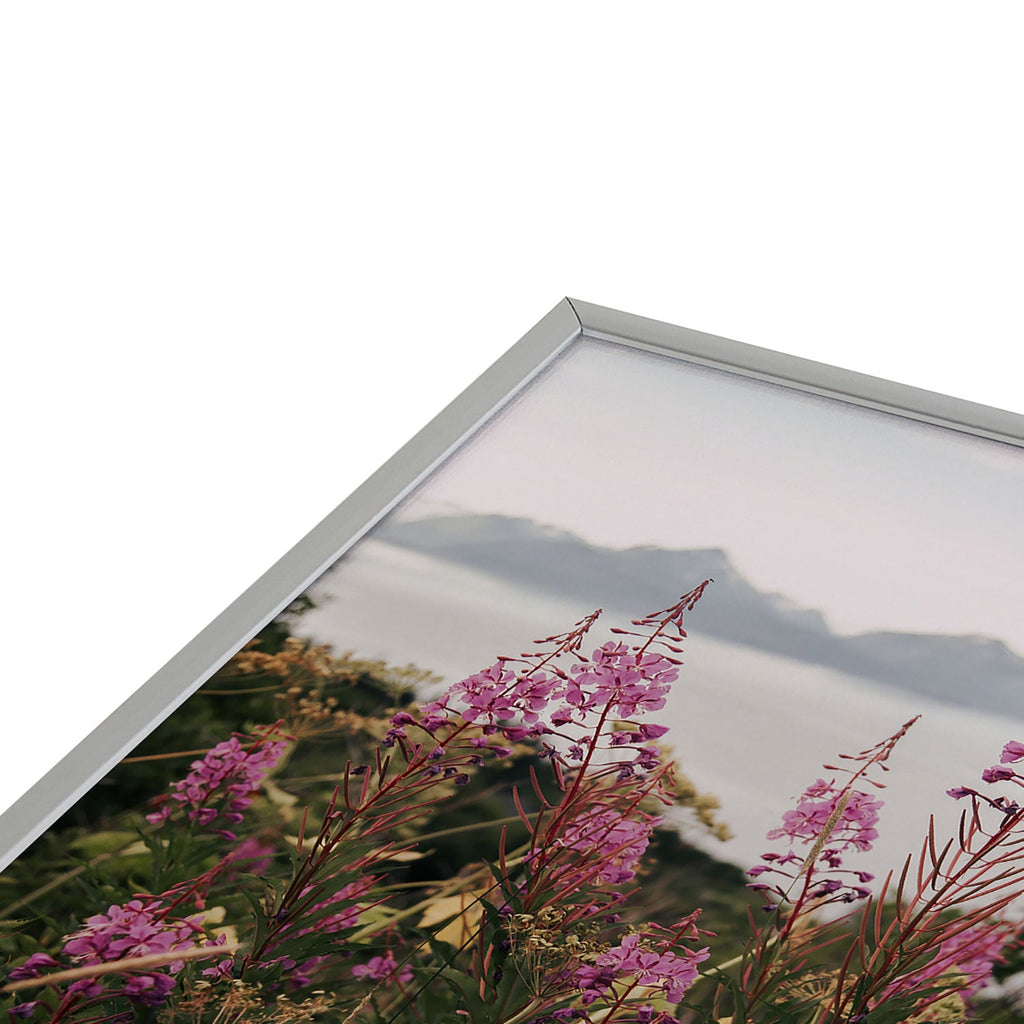 Hannah Kemp Fireweed Season Square Metal Framed Art Print