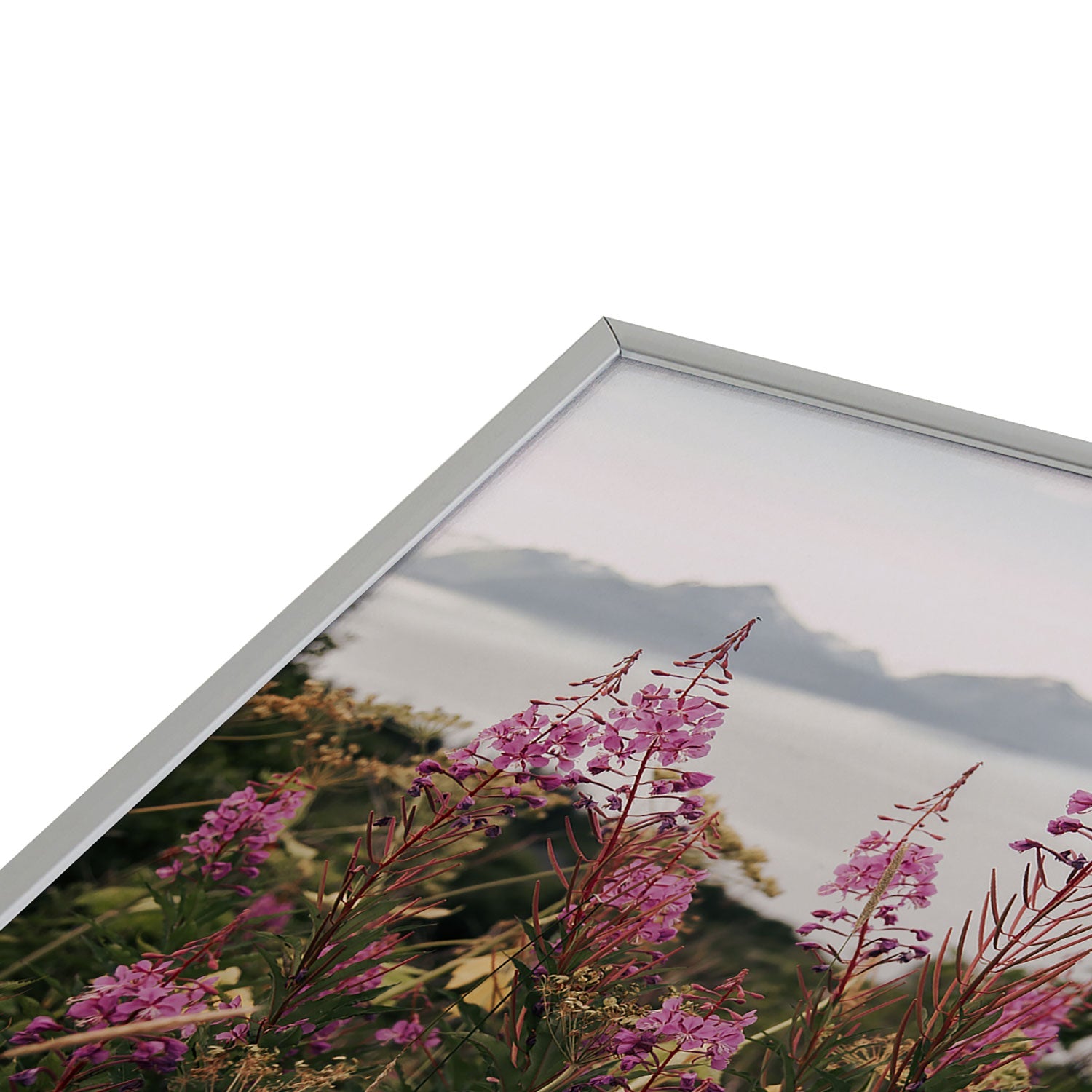 Hannah Kemp Fireweed Season Square Metal Framed Art Print