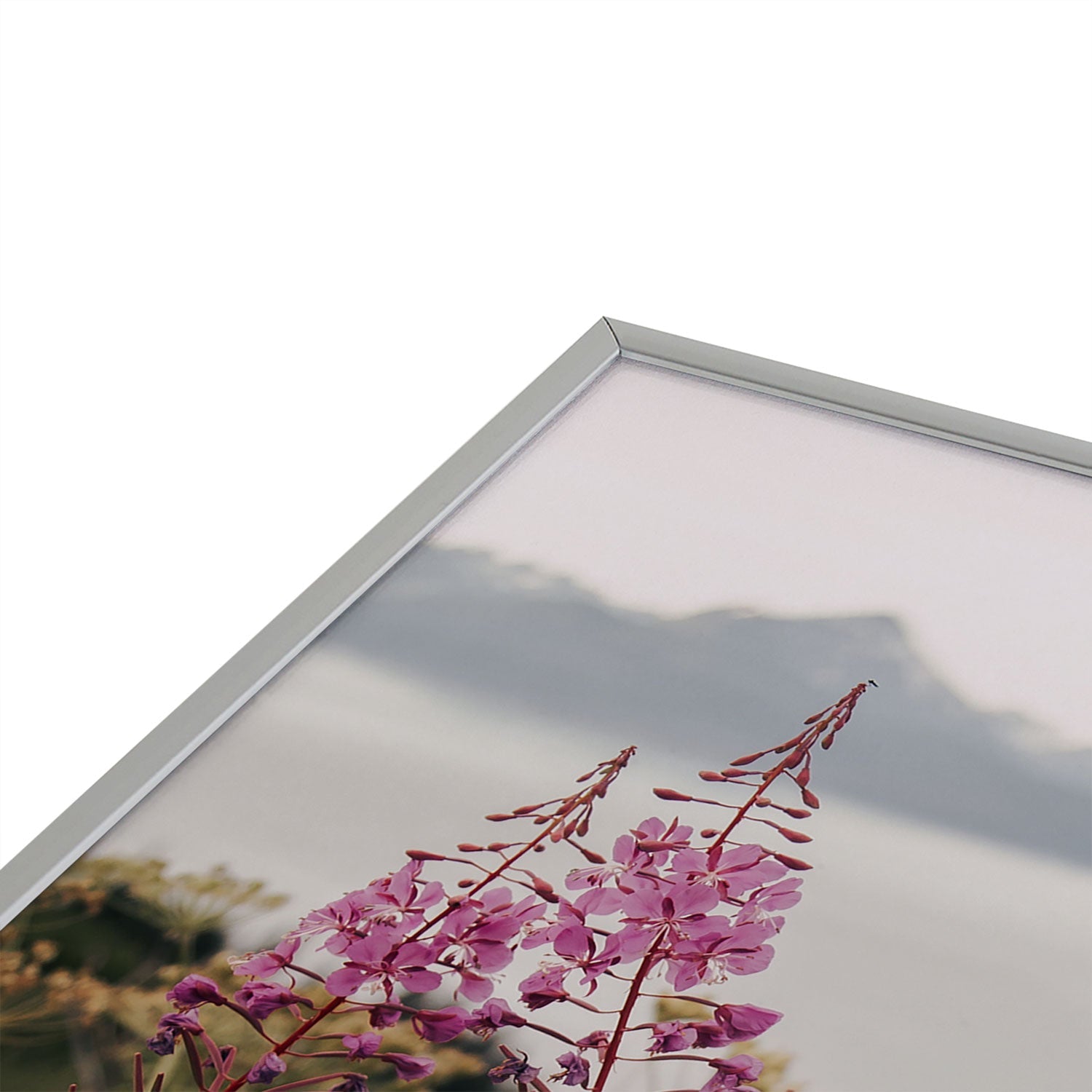 Hannah Kemp Fireweed Season Square Metal Framed Art Print