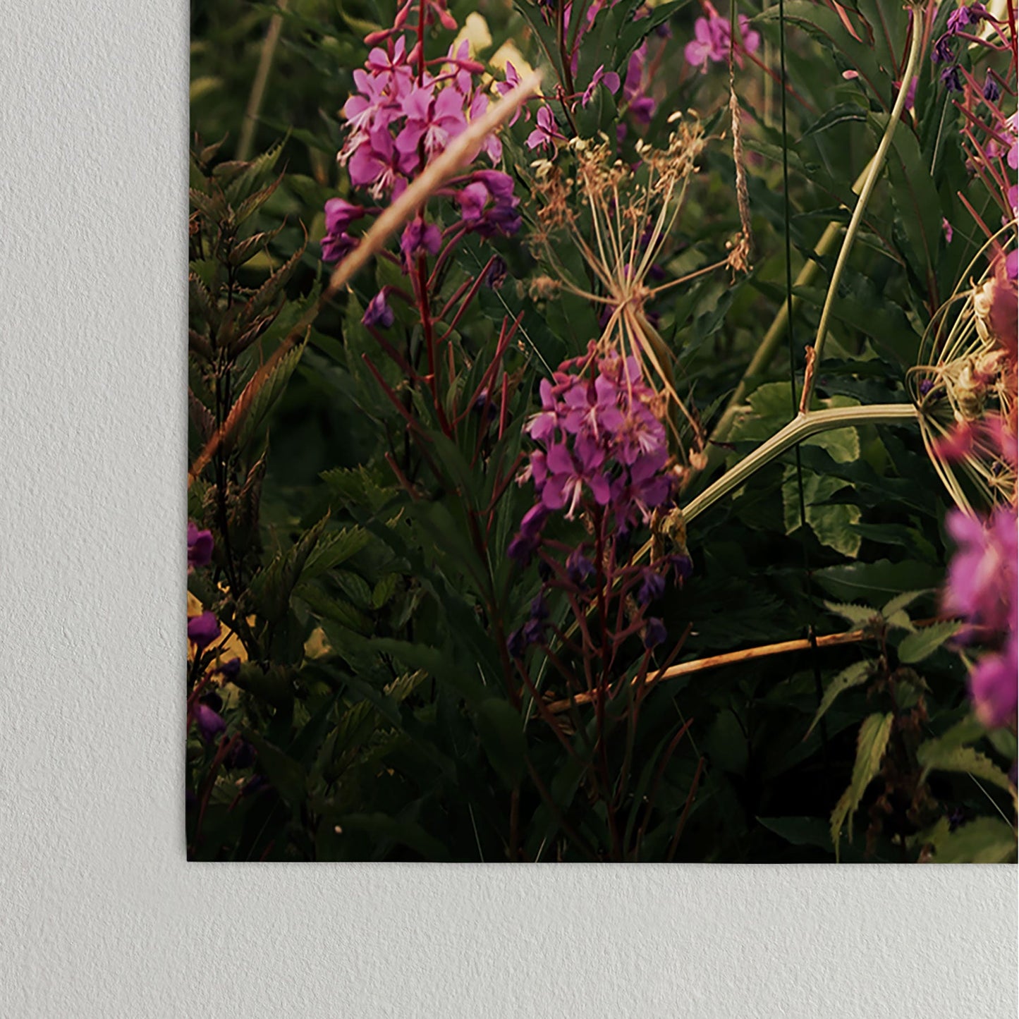 Hannah Kemp Fireweed Season Poster