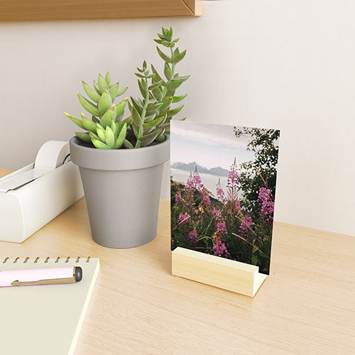 Hannah Kemp Fireweed Season Mini Art Print