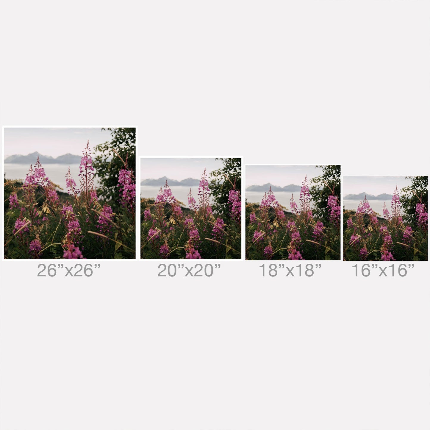 Hannah Kemp Fireweed Season Outdoor Throw Pillow