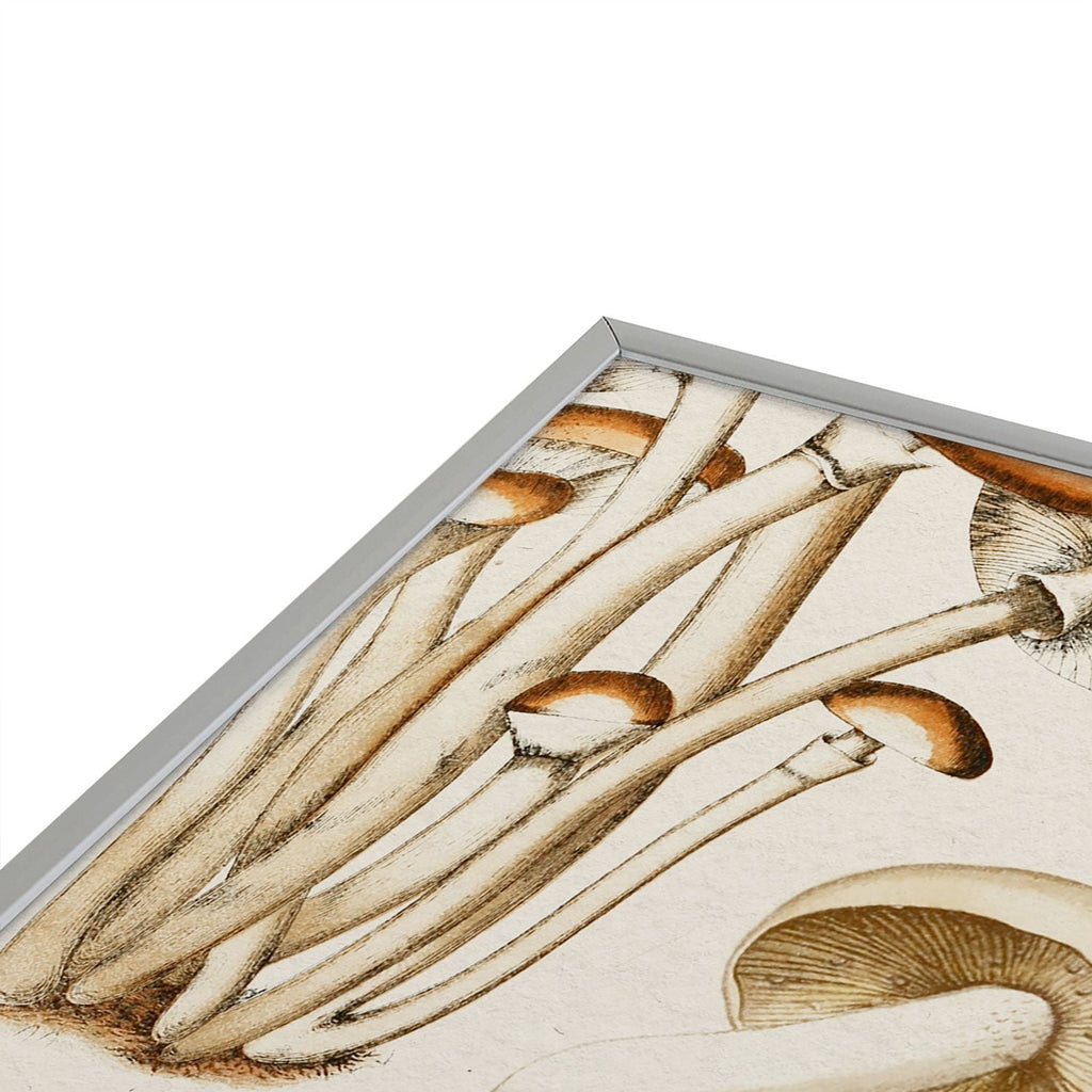 Gal Design Mushrooms Collection Square Metal Framed Art Print