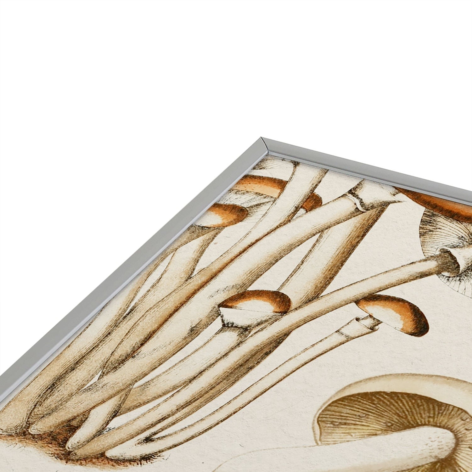 Gal Design Mushrooms Collection Square Metal Framed Art Print