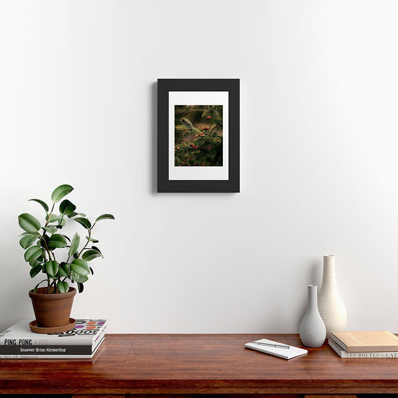 Hannah Kemp Spruce Tips Framed Art Print
