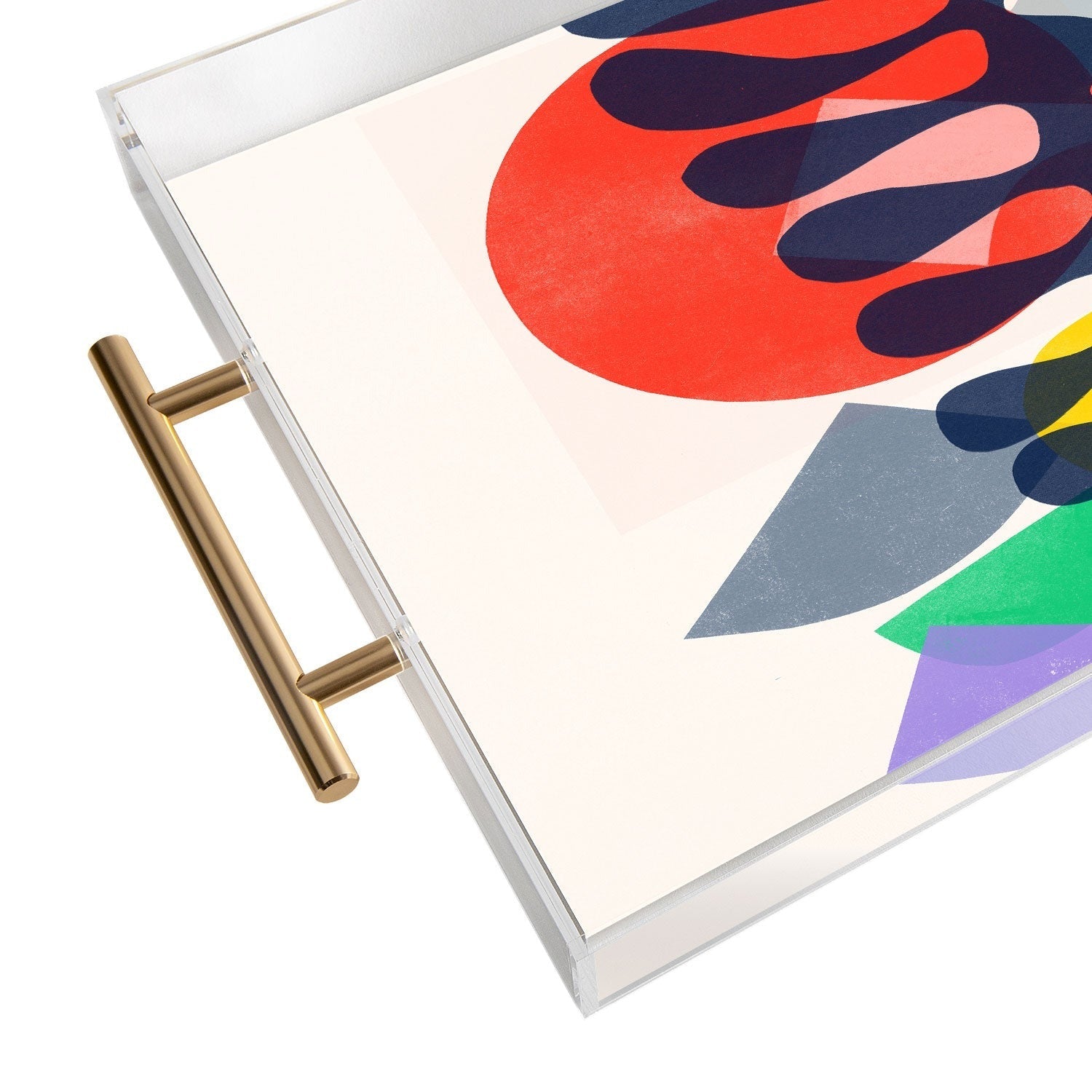 Garima Dhawan growing 1 Acrylic Tray