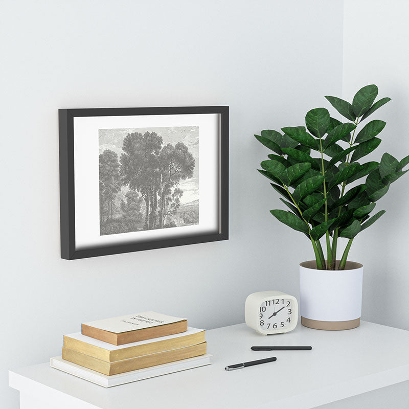 HMCraig Beaux Arbres Beautiful Trees Recessed Framing Rectangle
