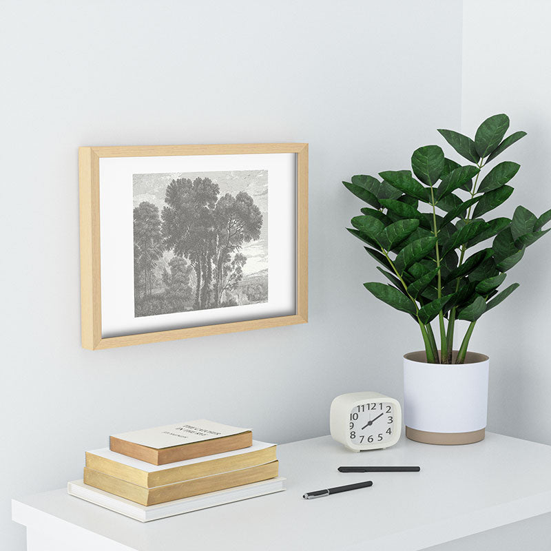 HMCraig Beaux Arbres Beautiful Trees Recessed Framing Rectangle