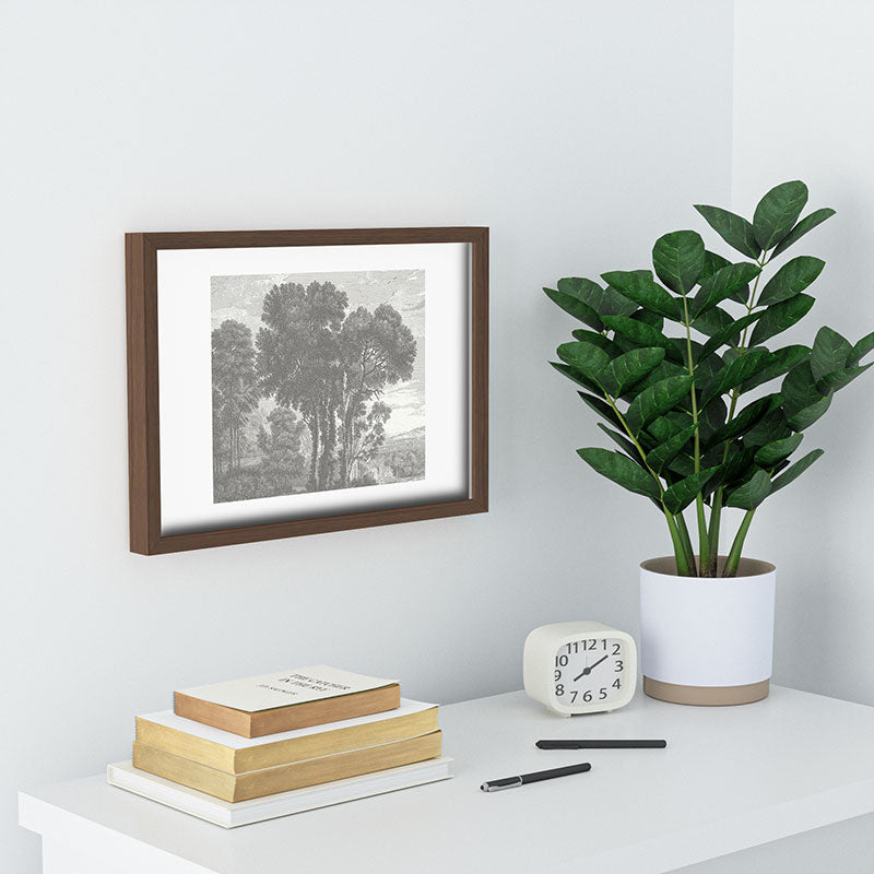 HMCraig Beaux Arbres Beautiful Trees Recessed Framing Rectangle