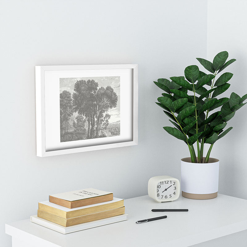 HMCraig Beaux Arbres Beautiful Trees Recessed Framing Rectangle