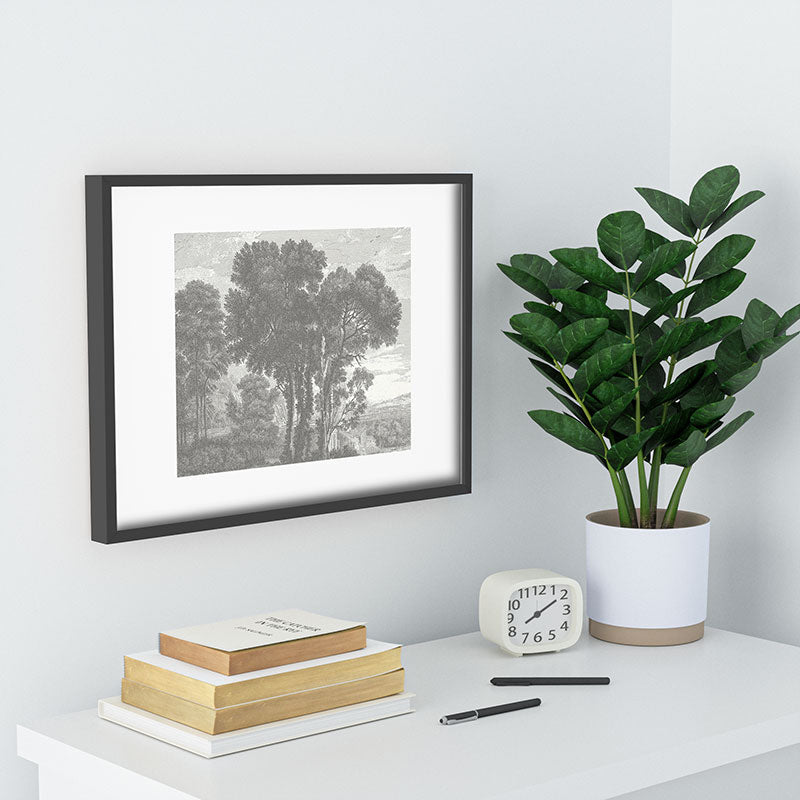 HMCraig Beaux Arbres Beautiful Trees Recessed Framing Rectangle