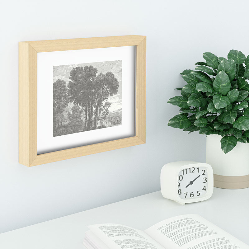 HMCraig Beaux Arbres Beautiful Trees Recessed Framing Rectangle