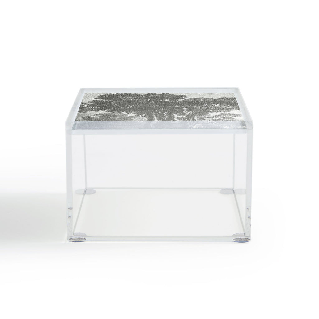 HMCraig Beaux Arbres Beautiful Trees Acrylic Box