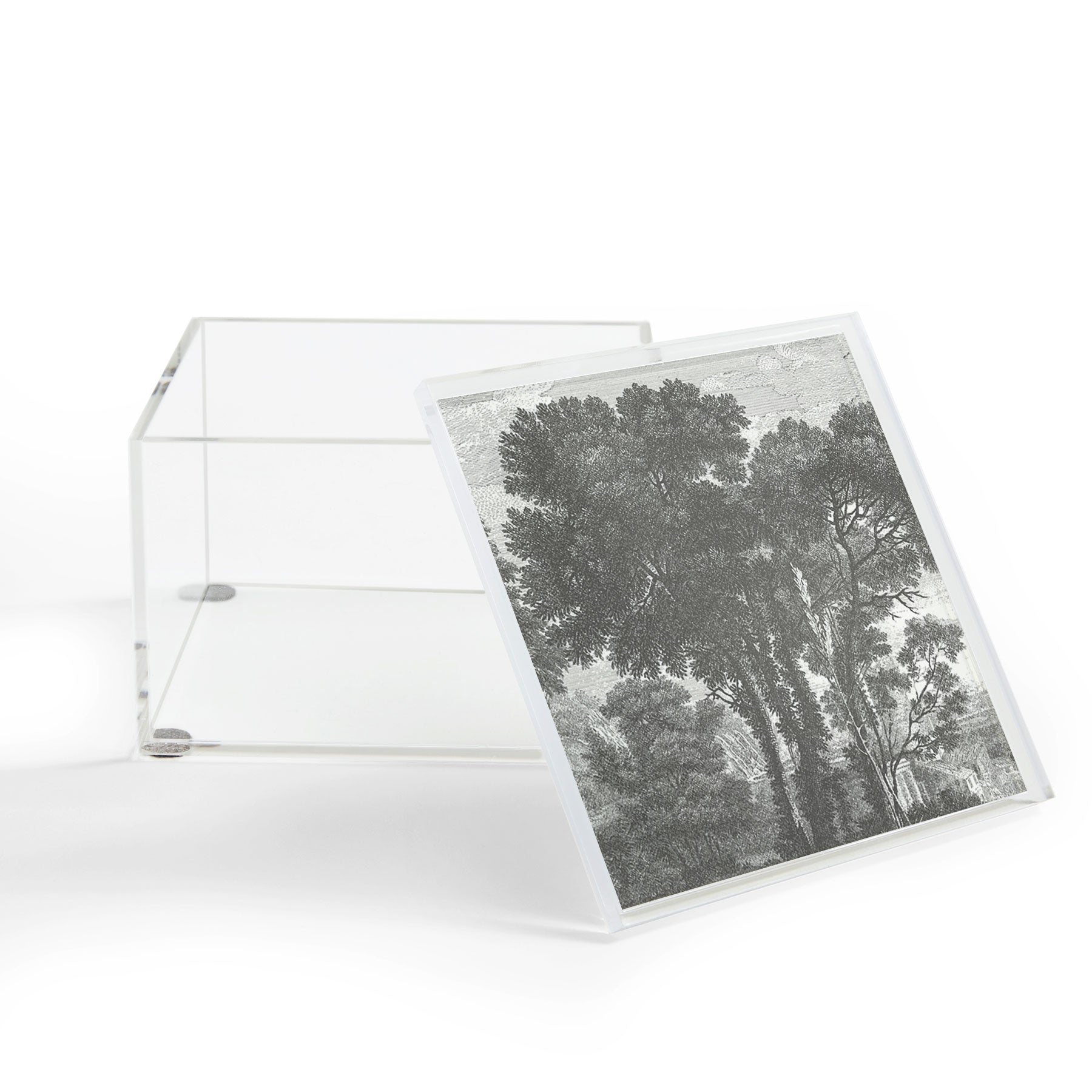 HMCraig Beaux Arbres Beautiful Trees Acrylic Box