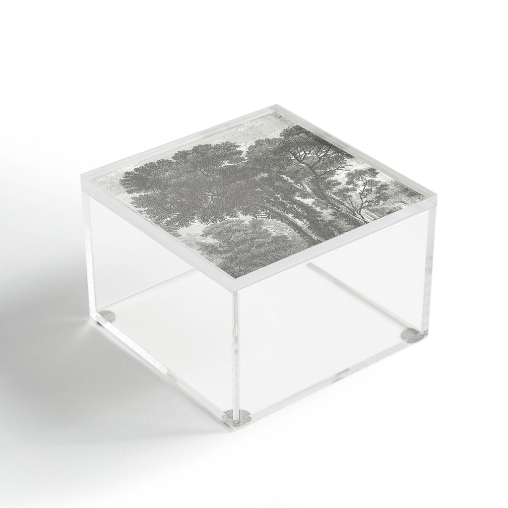 HMCraig Beaux Arbres Beautiful Trees Acrylic Box