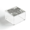 HMCraig Beaux Arbres Beautiful Trees Acrylic Box