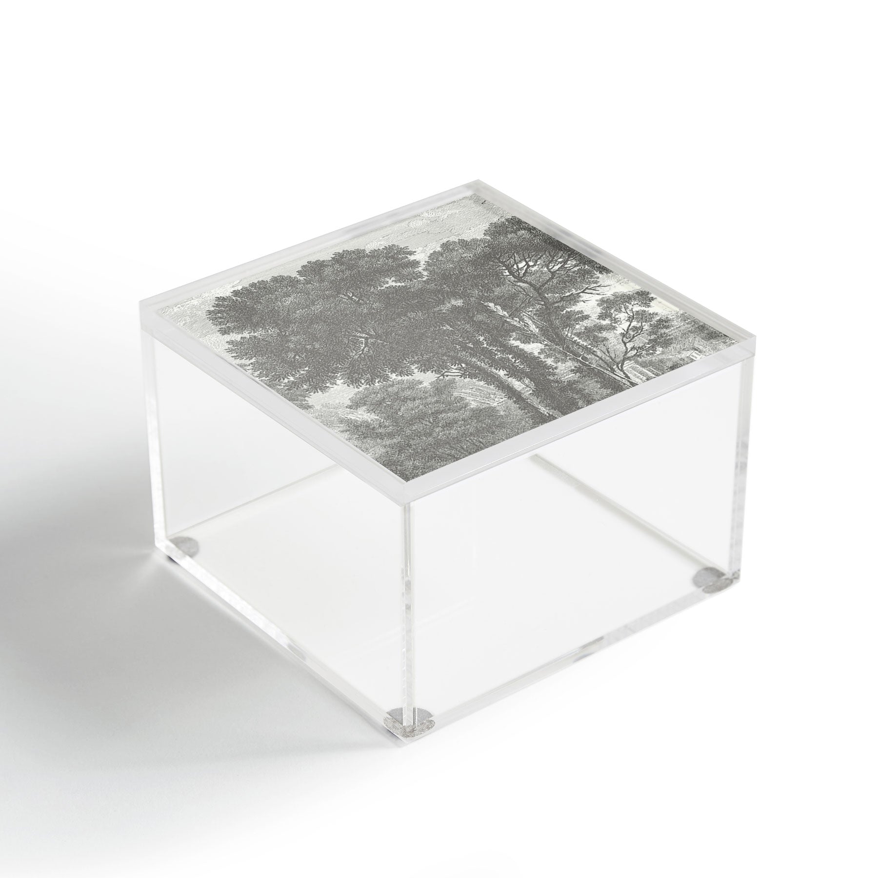 HMCraig Beaux Arbres Beautiful Trees Acrylic Box