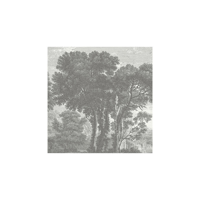 HMCraig Beaux Arbres Beautiful Trees Art Print