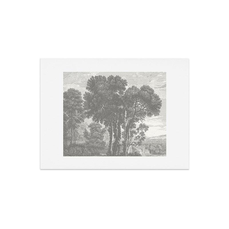 HMCraig Beaux Arbres Beautiful Trees Art Print