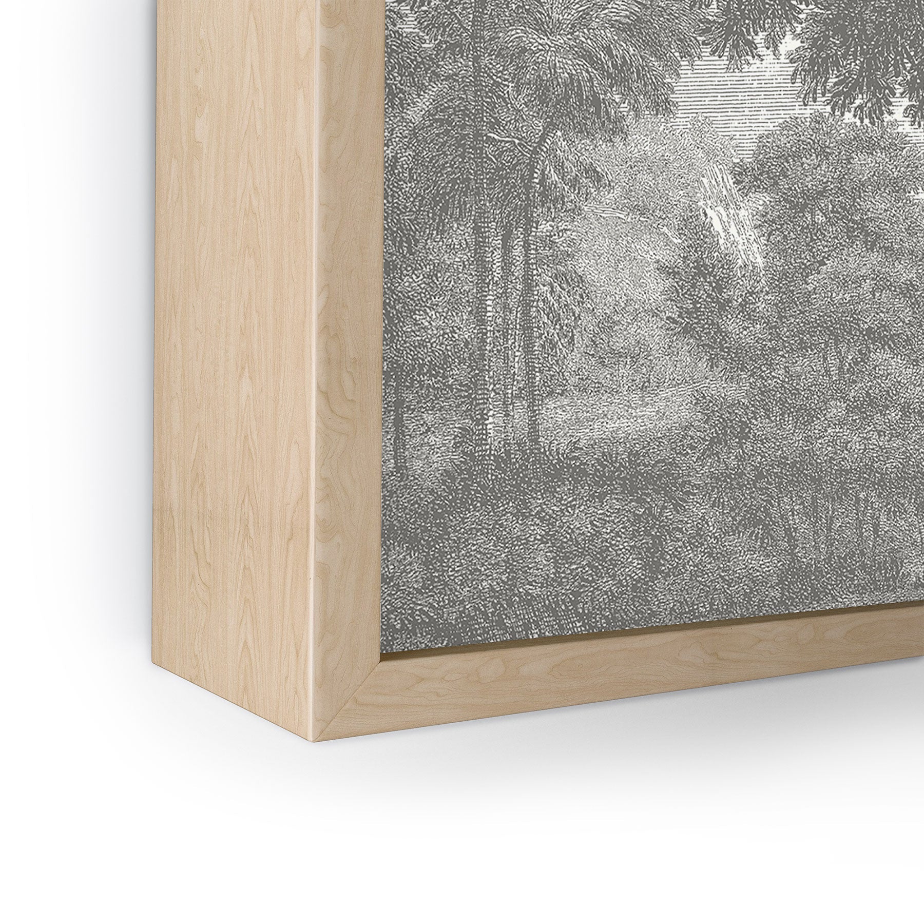 HMCraig Beaux Arbres Beautiful Trees Framed Mini Art Print