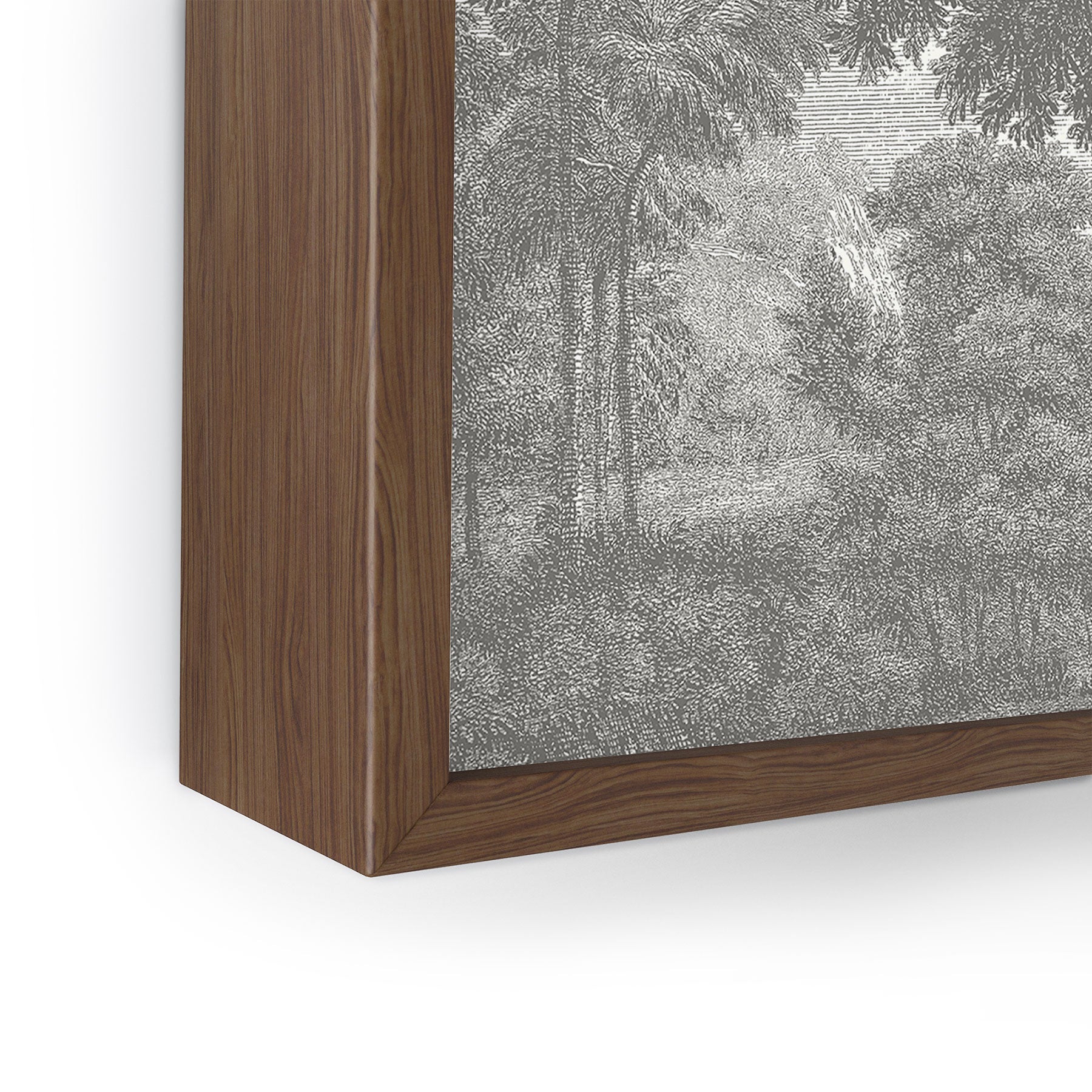 HMCraig Beaux Arbres Beautiful Trees Framed Mini Art Print