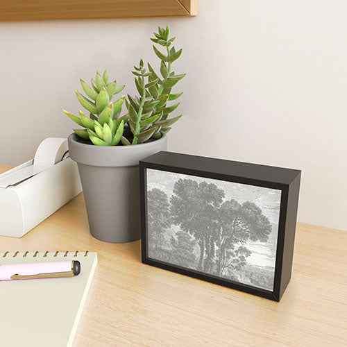 HMCraig Beaux Arbres Beautiful Trees Framed Mini Art Print