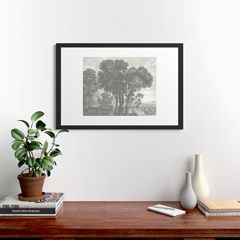 HMCraig Beaux Arbres Beautiful Trees Framed Art Print