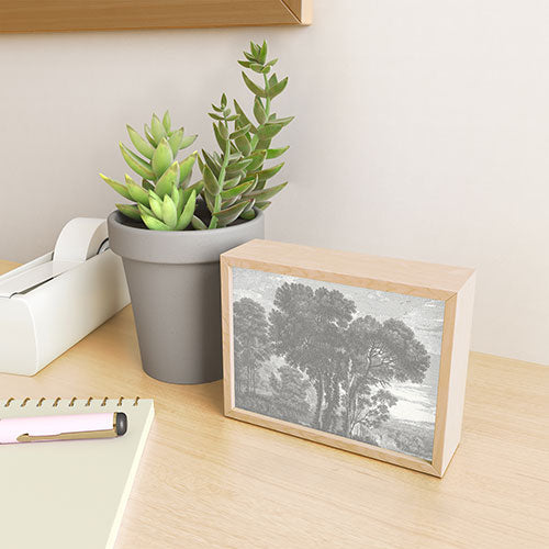HMCraig Beaux Arbres Beautiful Trees Framed Mini Art Print