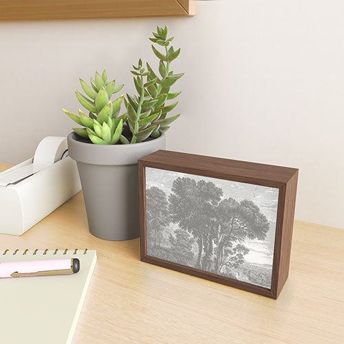 HMCraig Beaux Arbres Beautiful Trees Framed Mini Art Print