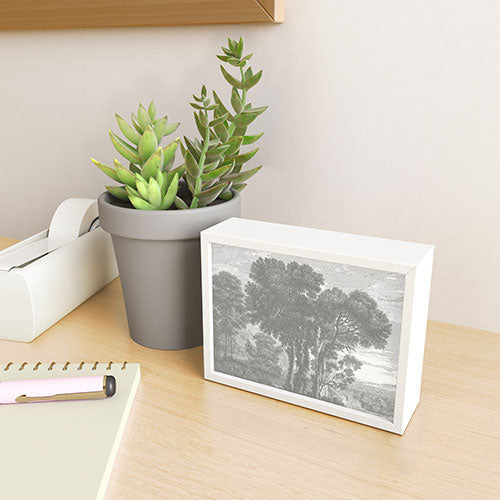 HMCraig Beaux Arbres Beautiful Trees Framed Mini Art Print