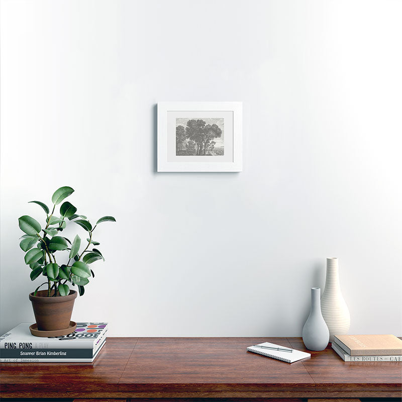 HMCraig Beaux Arbres Beautiful Trees Framed Art Print