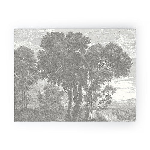 HMCraig Beaux Arbres Beautiful Trees Mini Art Print