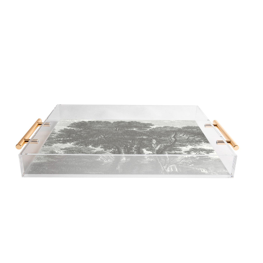 HMCraig Beaux Arbres Beautiful Trees Acrylic Tray