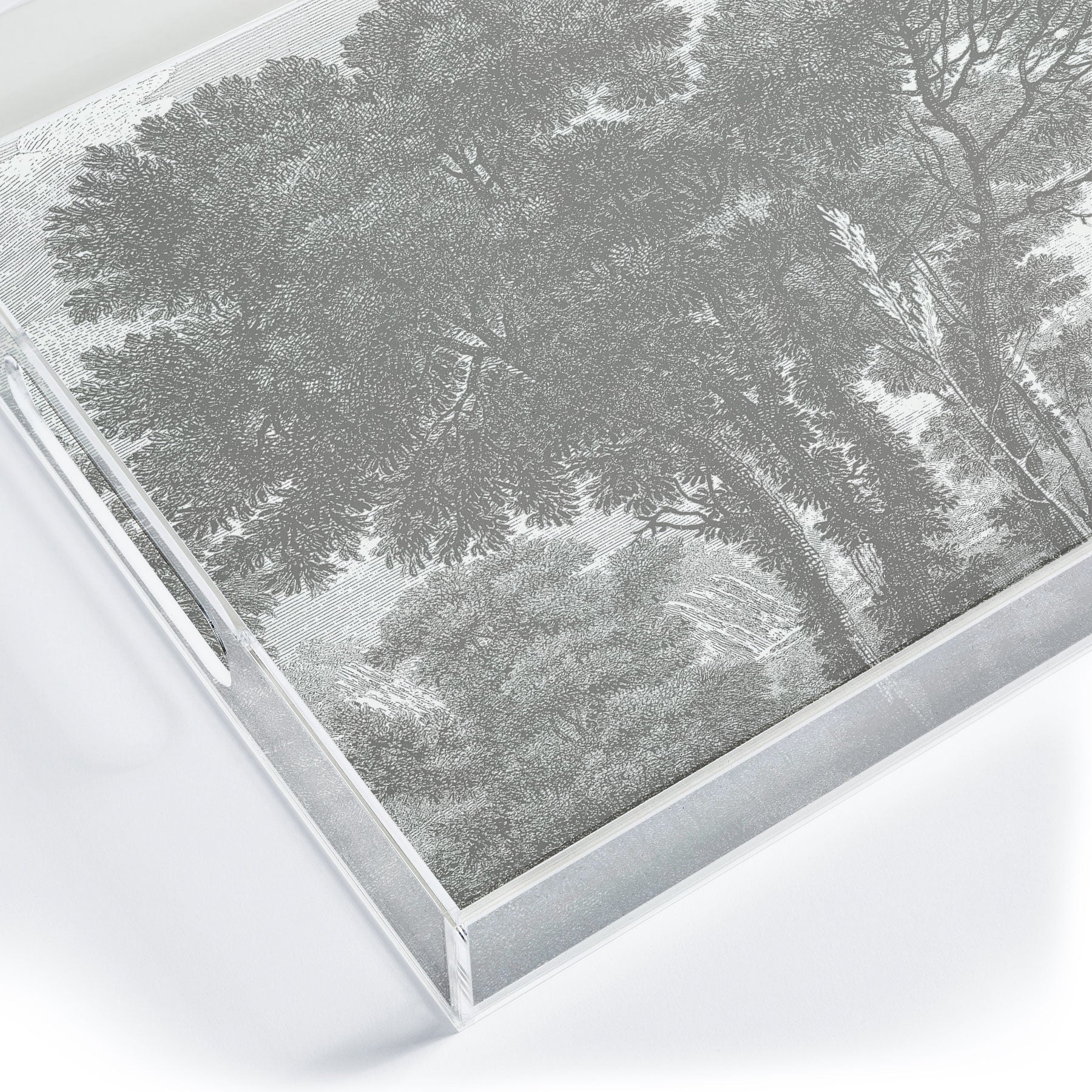 HMCraig Beaux Arbres Beautiful Trees Acrylic Tray