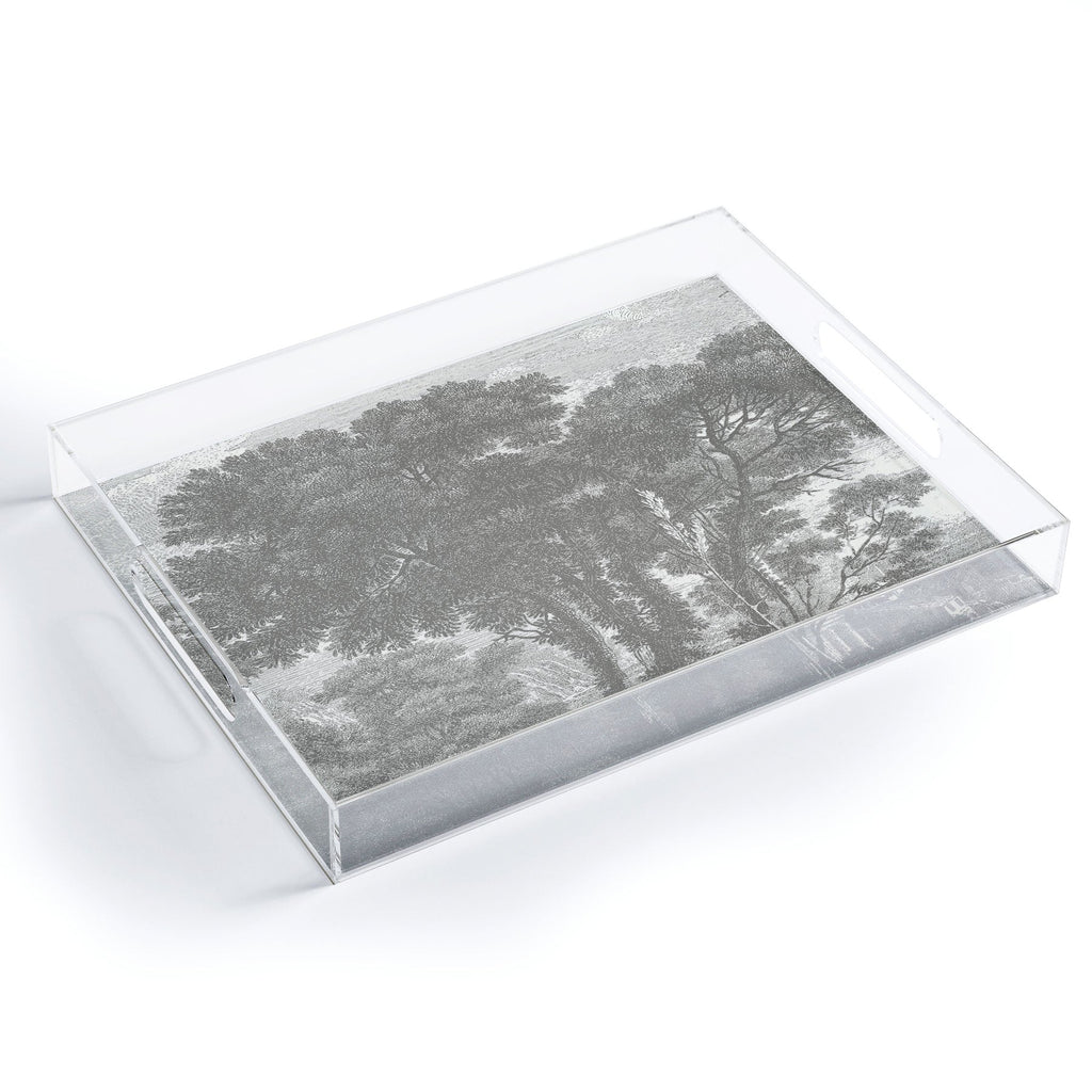 HMCraig Beaux Arbres Beautiful Trees Acrylic Tray