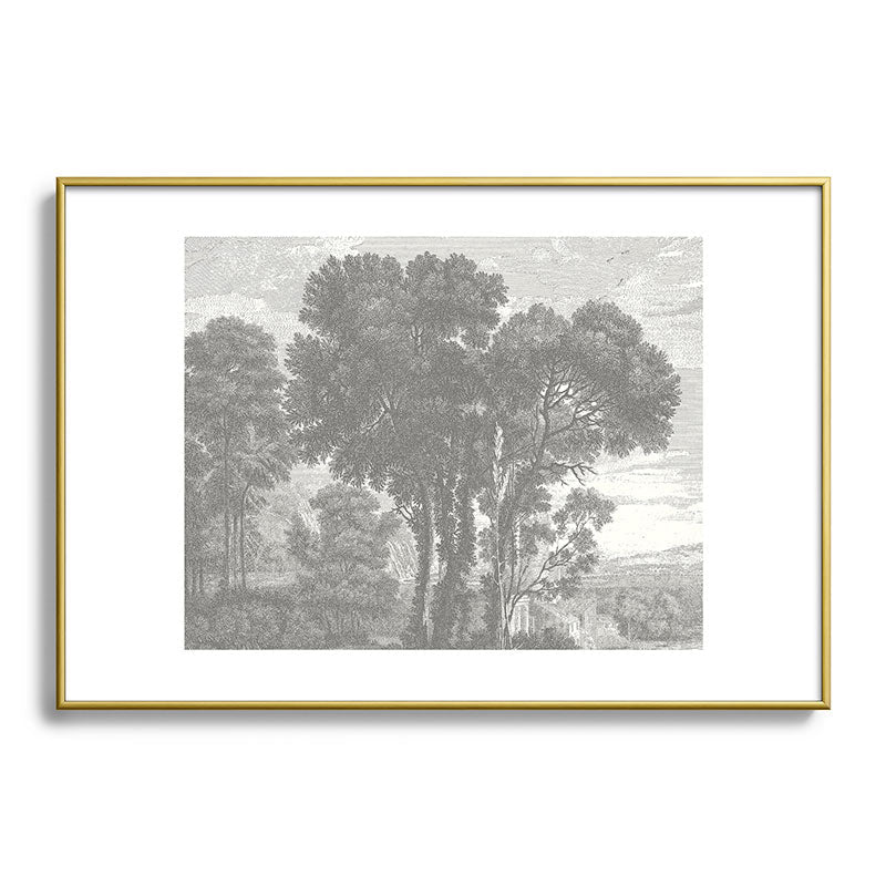 HMCraig Beaux Arbres Beautiful Trees Metal Framed Art Print