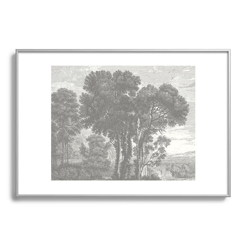 HMCraig Beaux Arbres Beautiful Trees Metal Framed Art Print