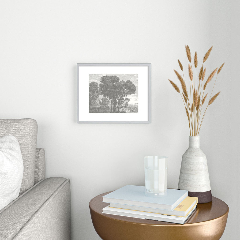 HMCraig Beaux Arbres Beautiful Trees Metal Framed Art Print