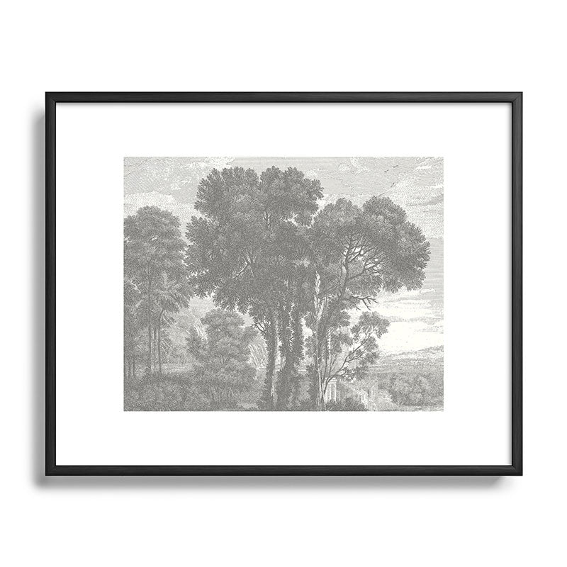 HMCraig Beaux Arbres Beautiful Trees Metal Framed Art Print
