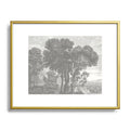HMCraig Beaux Arbres Beautiful Trees Metal Framed Art Print
