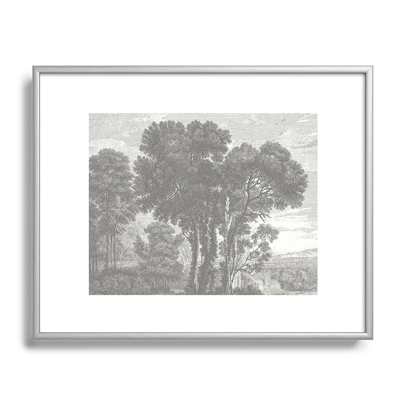 HMCraig Beaux Arbres Beautiful Trees Metal Framed Art Print