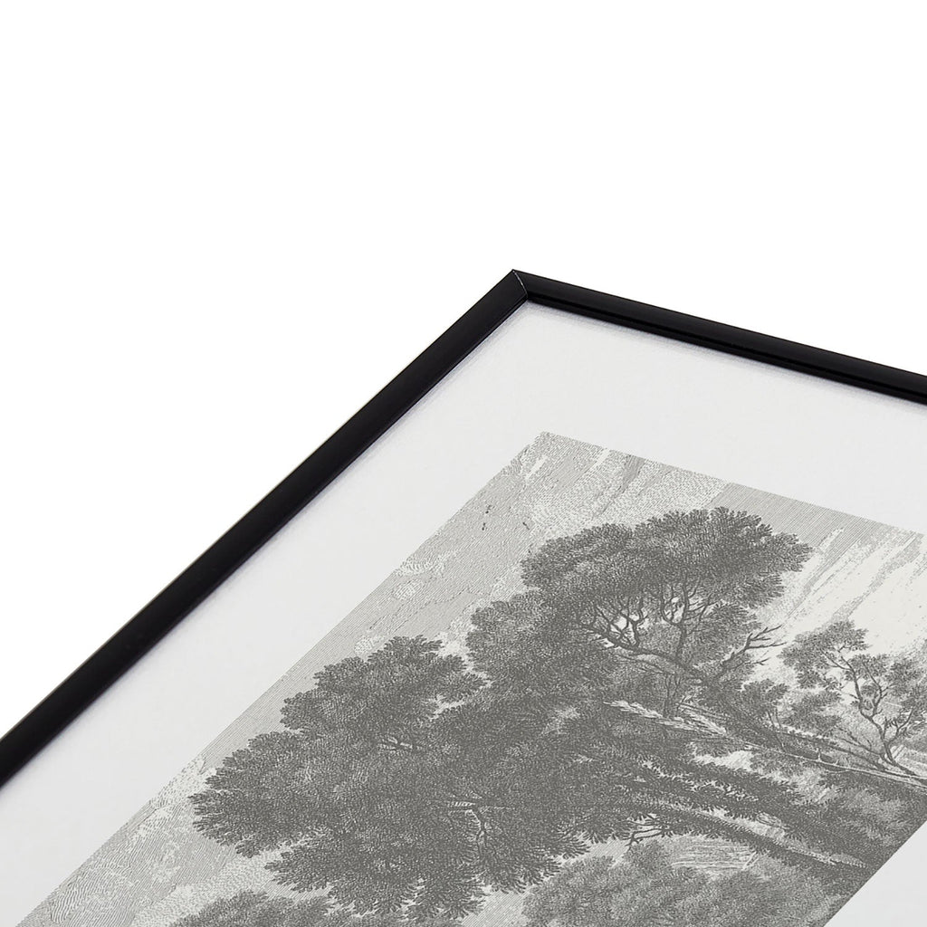 HMCraig Beaux Arbres Beautiful Trees Metal Framed Art Print