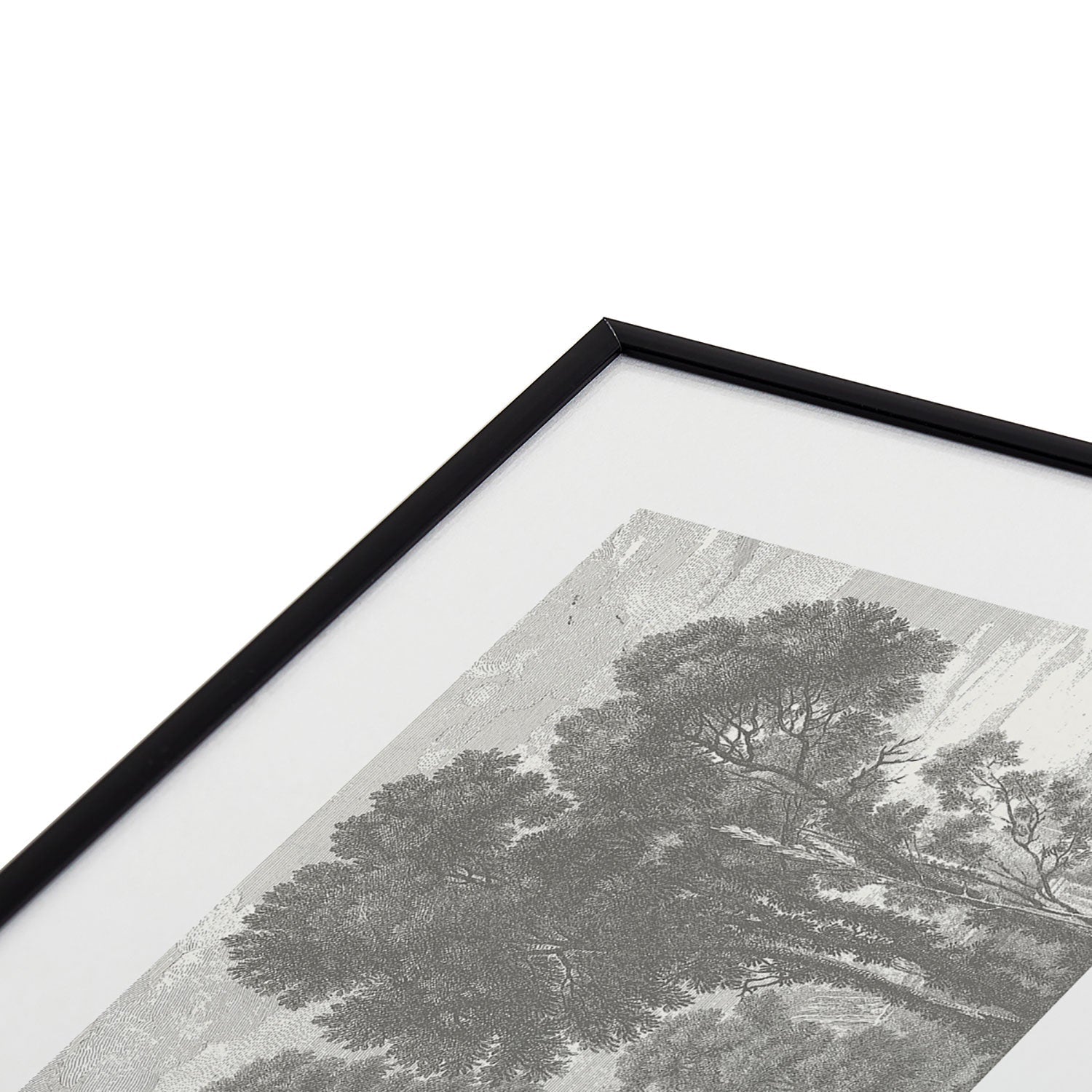 HMCraig Beaux Arbres Beautiful Trees Metal Framed Art Print