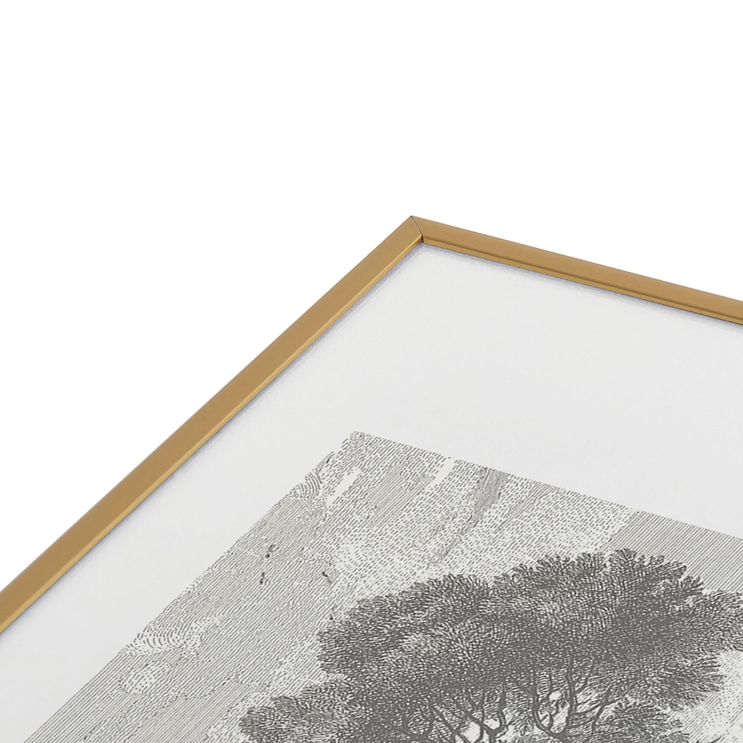 HMCraig Beaux Arbres Beautiful Trees Metal Framed Art Print