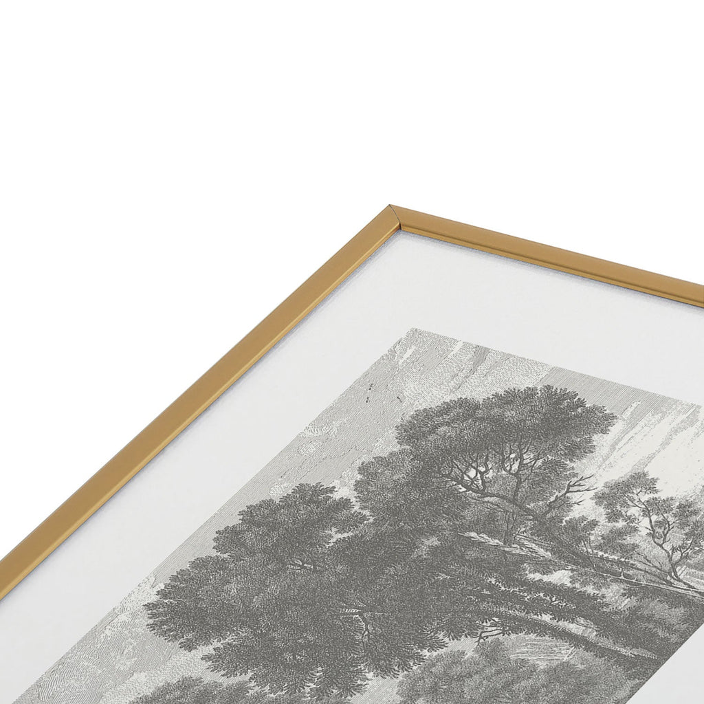 HMCraig Beaux Arbres Beautiful Trees Metal Framed Art Print
