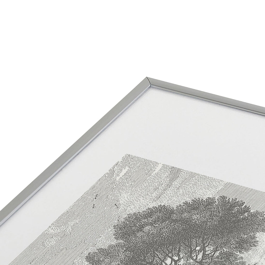 HMCraig Beaux Arbres Beautiful Trees Metal Framed Art Print